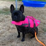 Profile Picture of Rebecca Schneider (@rebecca_schneider) on Instagram