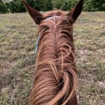 Profile Picture of audra asher (@lollyina2) on Instagram