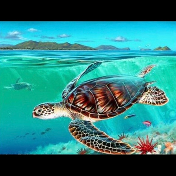 Profile Picture of Elizabeth Ahquin (@kawaiipo) on Poshmark