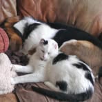 Profile Picture of Gary R. Sherrow Sr. (@Gary-R-Sherrow-Sr) on Facebook