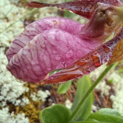 Profile Picture of Quinn Mahoney (@QuinnMahoney8) on Twitter