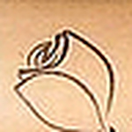 Profile Picture of Kisa  Zahra (@sitara batool) on Flickr