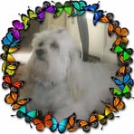 Profile Picture of Karen Unger (@karen.unger.258454) on Facebook