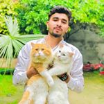 Profile Picture of Mohsin Chaudhary (@mohsin_chaudhary_2) on Instagram