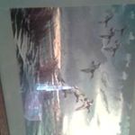 Profile Picture of Randy Douglas Shanks (@douglasshanksrandy) on Instagram