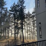 Profile Picture of Zachary McClure (@southshorevibe) on Instagram