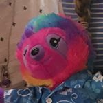 Profile Picture of Sherman Walker Niphvonite (@sherman_the_rainbow_sloth) on Instagram