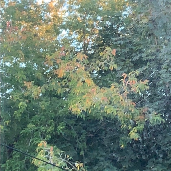 Profile Picture of Sasha Krstic (@sashakrstic) on Poshmark