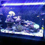 Profile Picture of David Pesce (@davidpesce) on Instagram