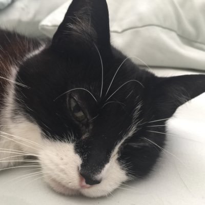 Profile Picture of Michael Vanier (@mvanier42) on Twitter