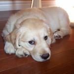 Profile Picture of IAN LOVETT (@_ian_lovett_) on Instagram