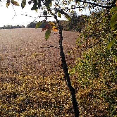 Profile Picture of Clay Watson (@WatsonClay) on Twitter