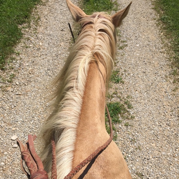 Chloe Bartlett - Poshmark Profile Picture of Chloe Bartlett (@cbartlett75) on Poshmark