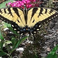 Profile Picture of Bobby Thorne (@bobby-thorne-1) on Quora