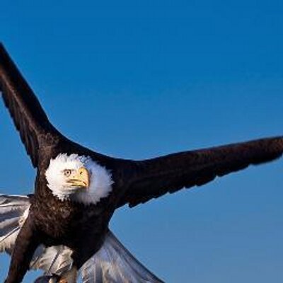 Profile Picture of Daniel Pavón Navarre (@@DPNXD) on Twitter