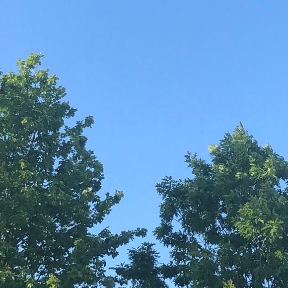 Profile Picture of Mikayla Kuzmann (@xc8) on Poshmark