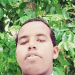 Profile Picture of Abdalle Ade (@abdalle_ade) on Instagram