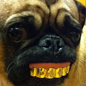 Profile Picture of Brad Morrison (@bradmorrison7699) on Youtube