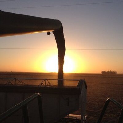 Profile Picture of Josh Sheppard (@JAKSfarming) on Twitter