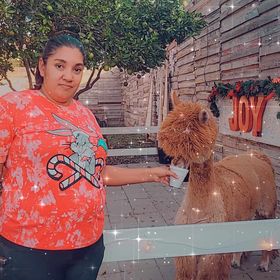 Profile Picture of Krista Ramirez (@kristaramirz470) on Pinterest