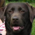 Profile Picture of Mark Leahy (@leahy25) on Instagram