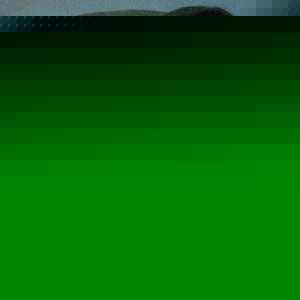 Profile Picture of Karissa Anne Lawernce (@country_girl_issa) on Myspace