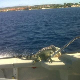 Profile Picture of Christian Lee Anders (@christian.l.anders.82) on Facebook