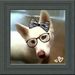 Profile Picture of Leo Moeola (@l3ul3l3lez) on Pinterest