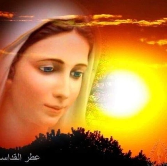 Profile Picture of Ebtihag Tawfiq (@ebtihagtawfiq) on Poshmark