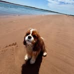 Profile Picture of Tamara LaMarsh (@tamara.lamarsh) on Facebook