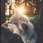 cassandra paige powell - Instagram Profile Picture of cassandra paige powell (@cassandrapowell123) on Instagram