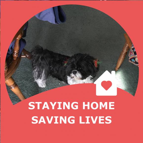 Profile Picture of Carol Bartoszek (@carolb53) on Poshmark