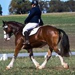 Profile Picture of Penny Keen (@keenpenny) on Instagram
