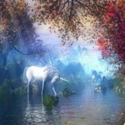 Profile Picture of Maximo Flores (@maximoflores11) on Twitter