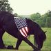 Profile Picture of Elisa Duncan (@elisa.duncan.127) on Facebook