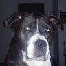 Profile Picture of pauline minor (@@paulineminor) on Tiktok