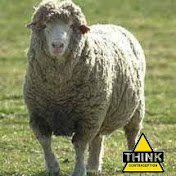 Profile Picture of Dave Whelan (@davsheep) on Youtube