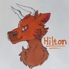 Profile Picture of Hilton bull (@@bull._.hilton) on Tiktok