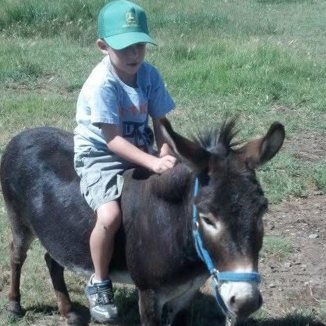 Profile Picture of Perry Chadwick (@pchad5) on Tiktok