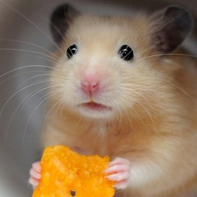 Profile Picture of Alex Lipsky (@alex949488) on Twitter