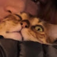 Profile Picture of Alexandra Lester (@alexandra-lester-12) on Quora