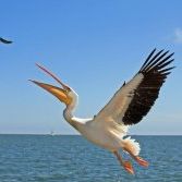 Profile Picture of Astrid Deetlefs (@astridnamibia) on Pinterest