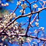 Profile Picture of kristy_irvine (@kristy_irvine) on Instagram