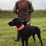 Profile Picture of David Beyer (@ruedemeister) on Instagram