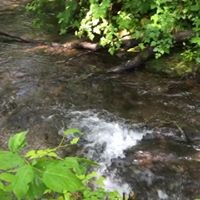 Profile Picture of Doris Suarez (@doris-suarez-4) on Quora