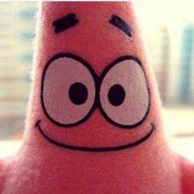 Profile Picture of Daniela Toruño (@pavond99) on Twitter