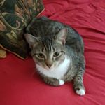 Profile Picture of Rudolph William Louis Giuliani (@rudy_gyal) on Instagram