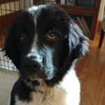 Profile Picture of Debra Weaver (@debraweaver111) on Instagram