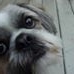 Profile Picture of Janet Zajac (@janet.zajac.1) on Facebook