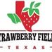 Profile Picture of Bart Chambers (@strawberryfieldstexas) on Facebook